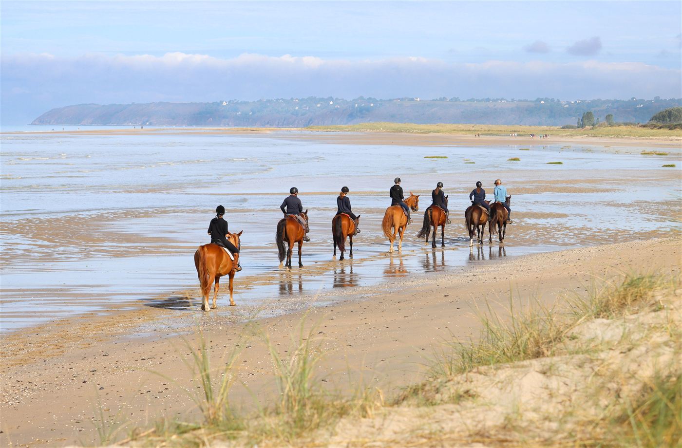 Sept cavaliers en balade sur une plage à marée basse