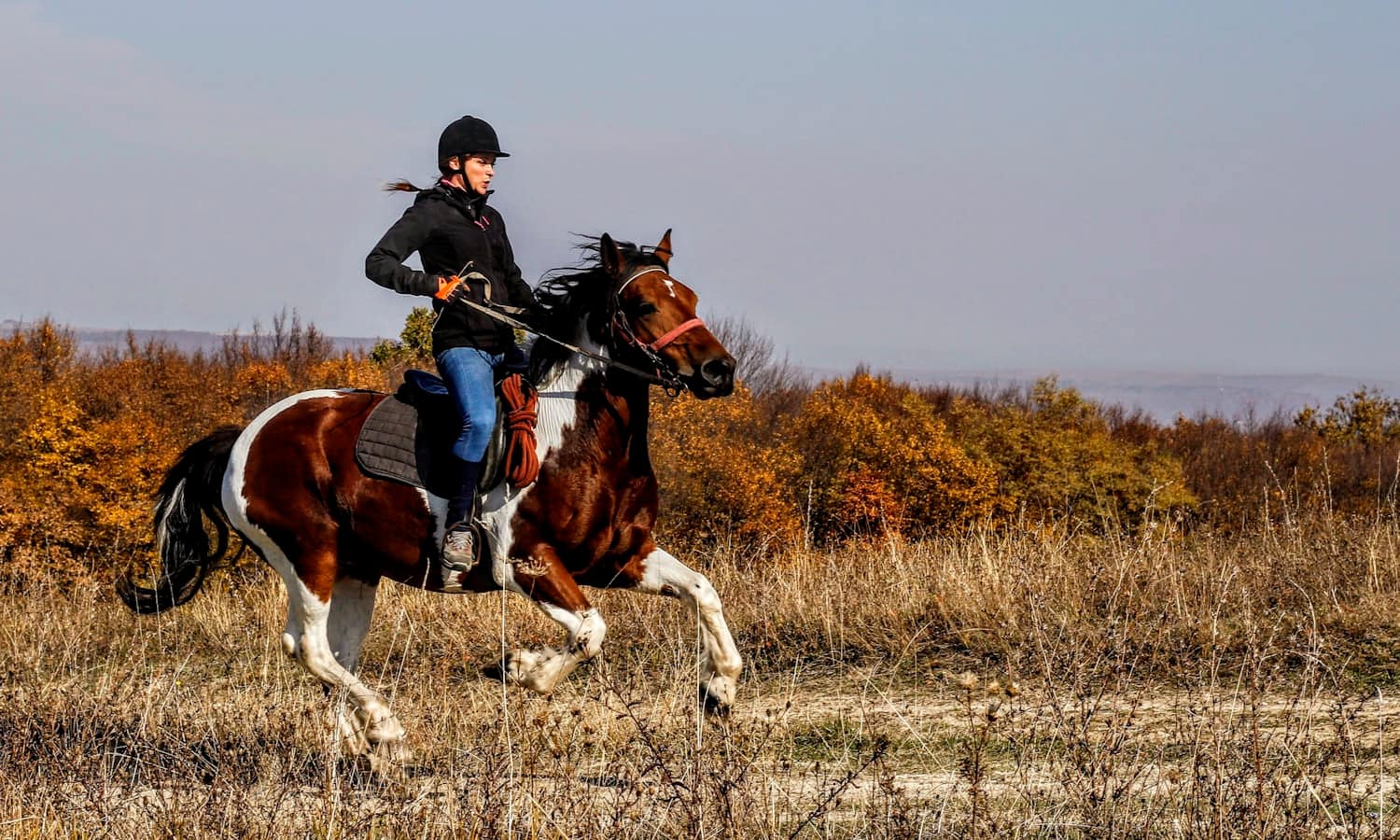 Cavalière au galop dans la plaine