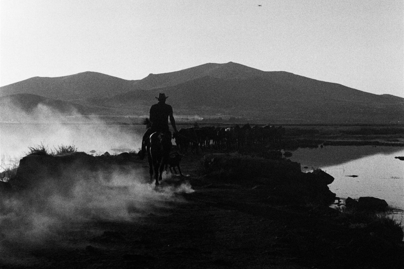 Silhouette d’un cavalier au crépuscule, au bord d’un lac