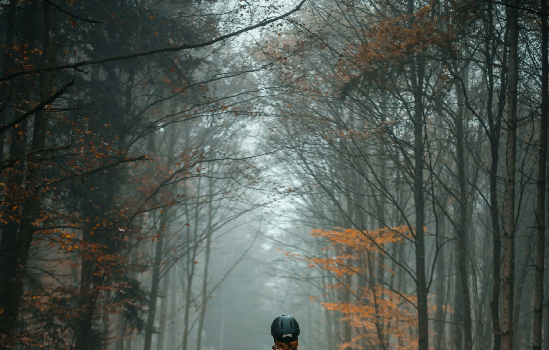 Cavalière en forêt brumeuse d’automne